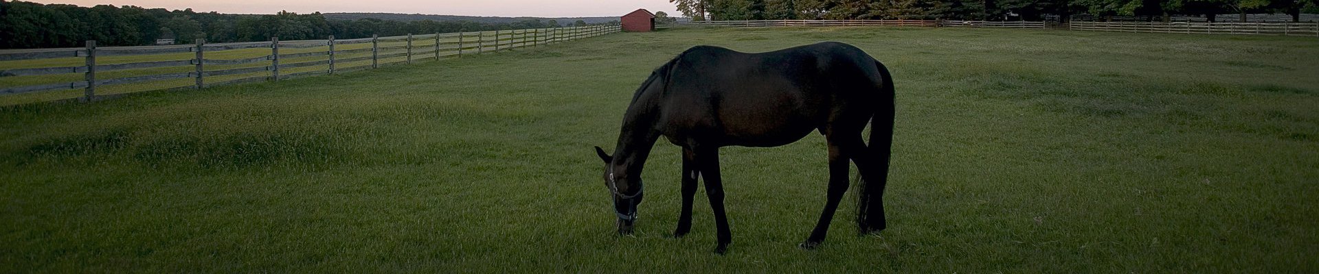 Solebury Township