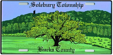 Distinctive License Plates